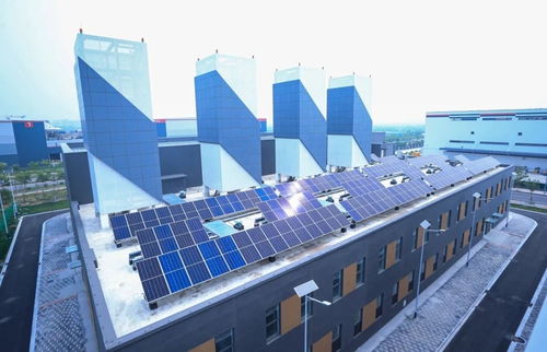 綠電工廠聚能起航 碳路先鋒力擎新質生產力——億本新材料走出零碳實踐之路