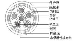 通達(dá)天下，纜動(dòng)未來 解碼線纜企業(yè)的多元化戰(zhàn)略與創(chuàng)新突破