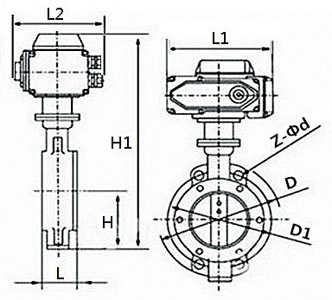 D973H防爆電動三偏心對夾蝶閥(圖1)